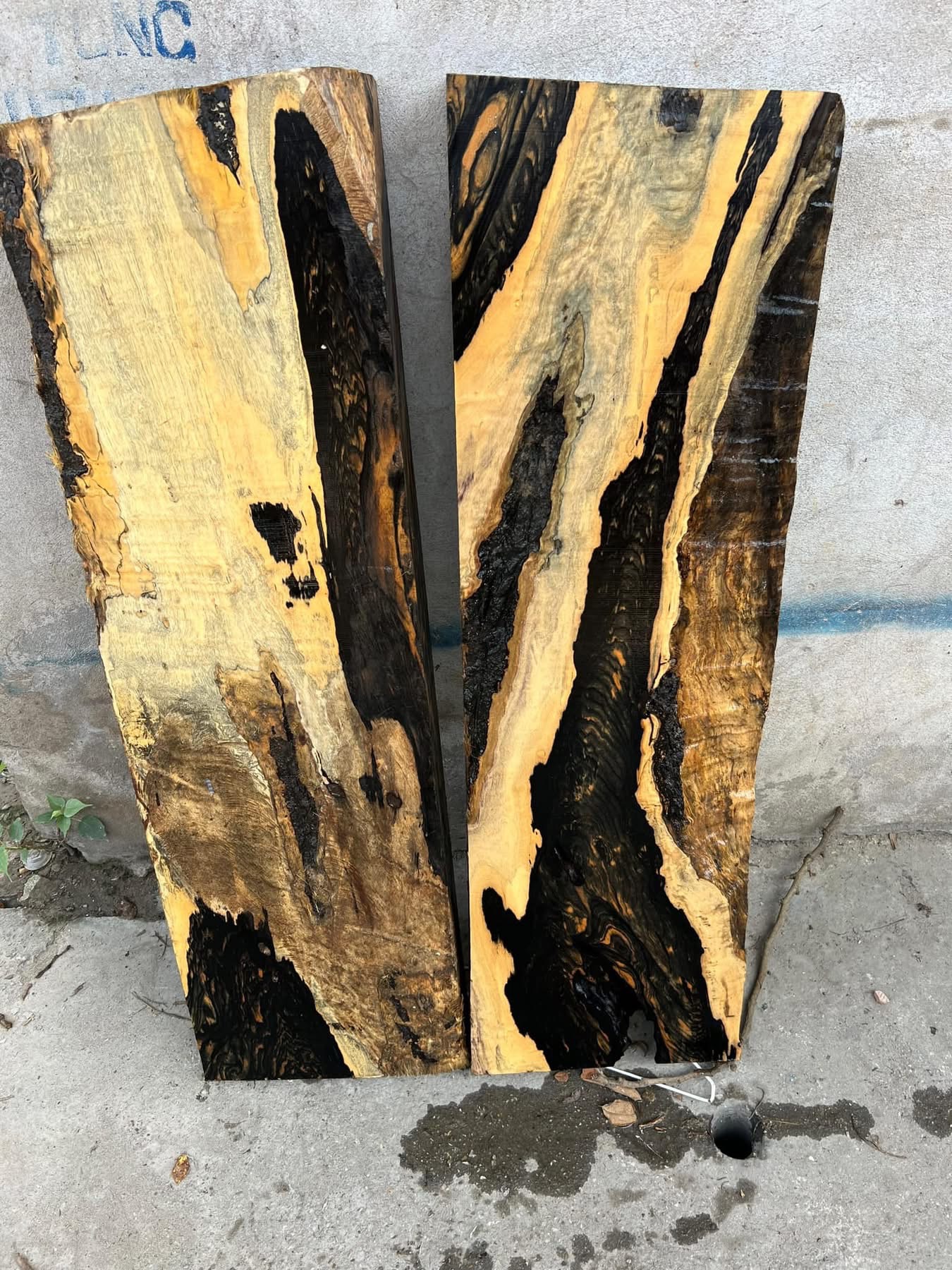 Royal Ebony