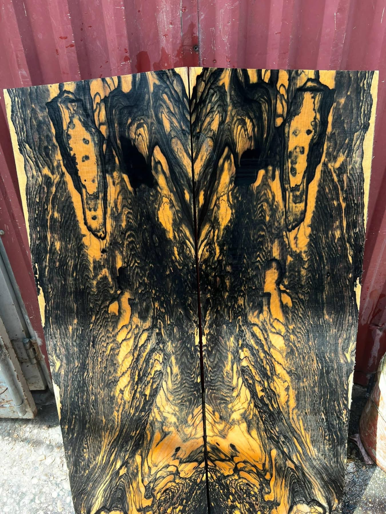 Royal Ebony