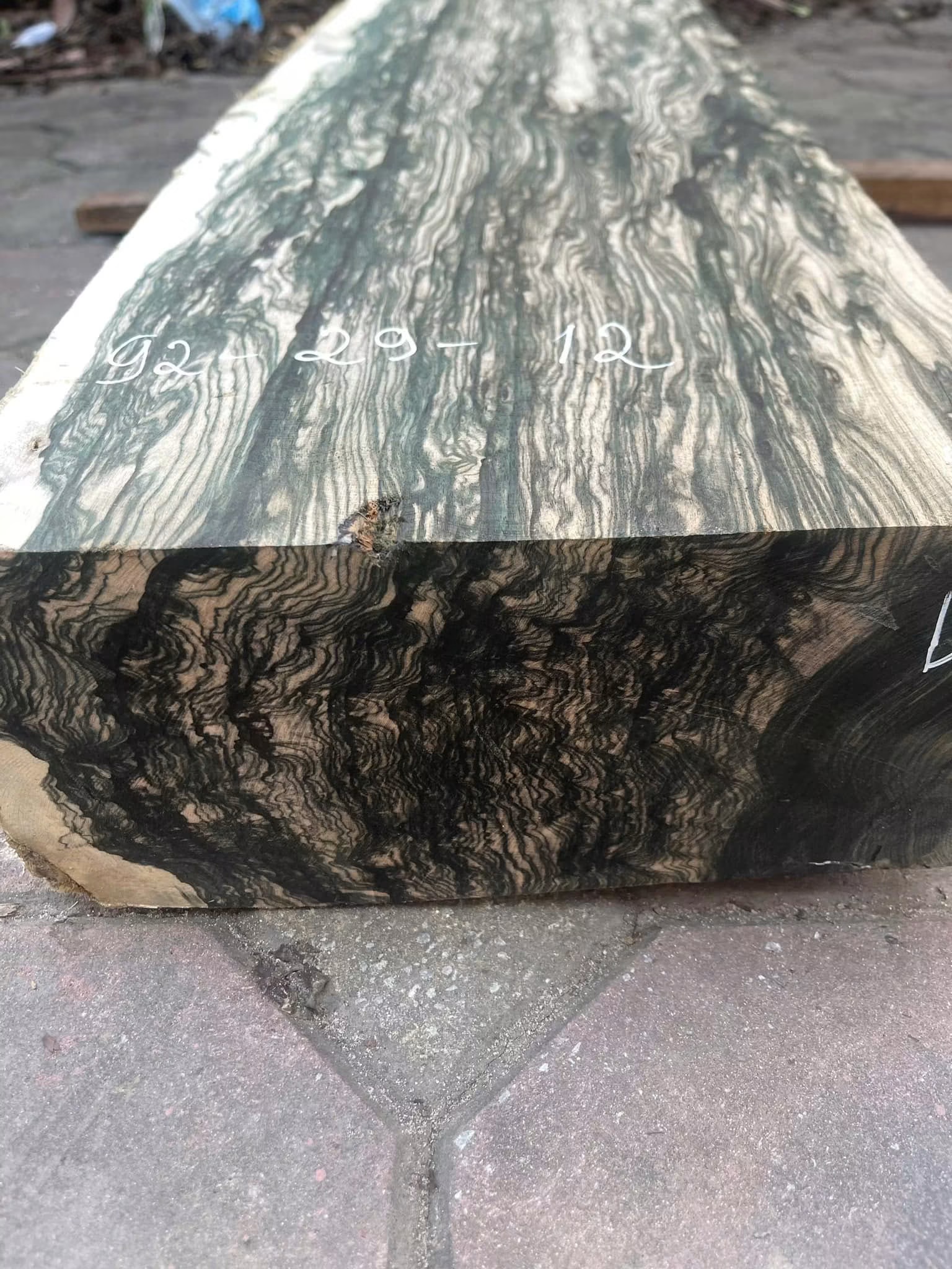 premium piece of high-quality Ebony wood 