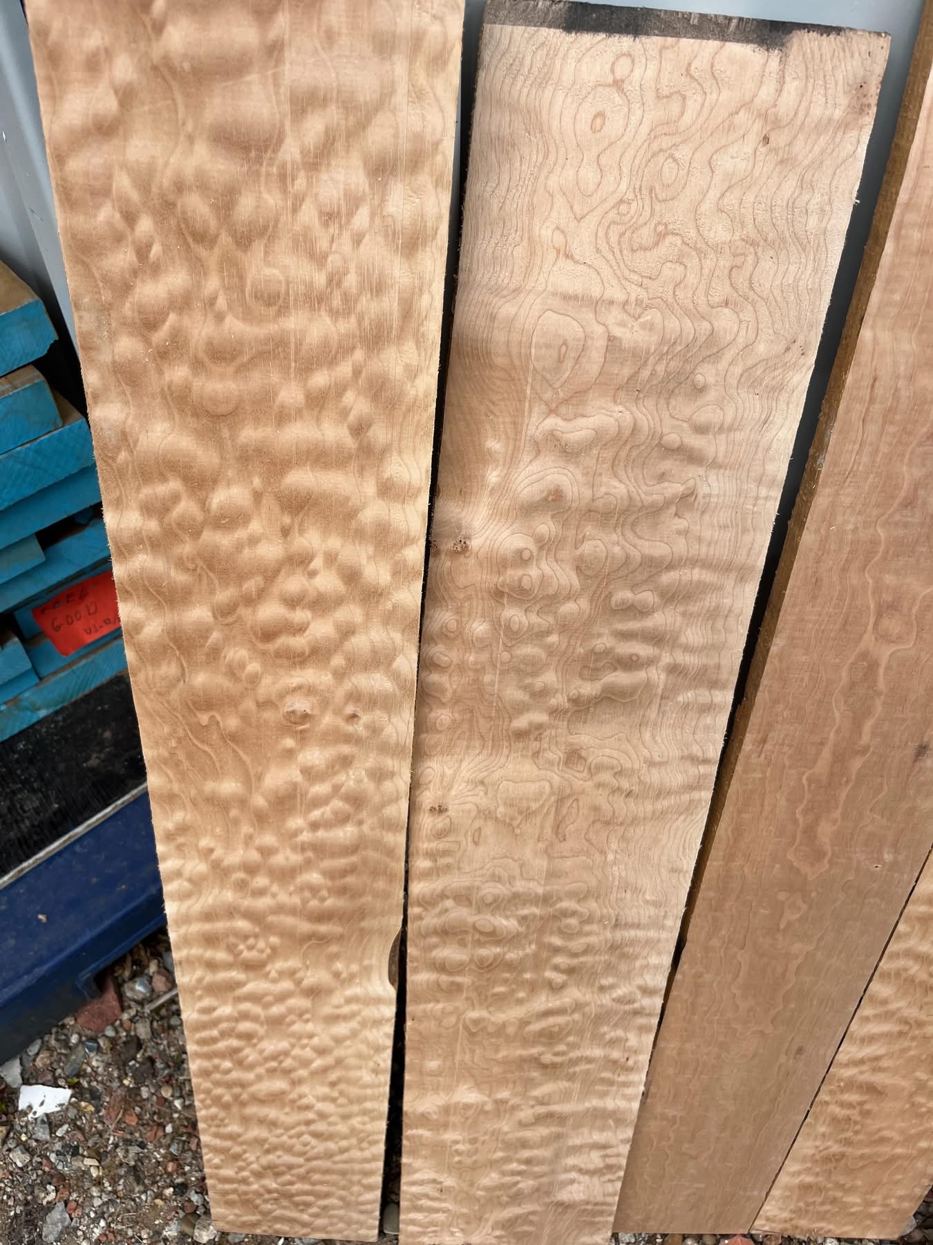 QUILTED MAPLE
