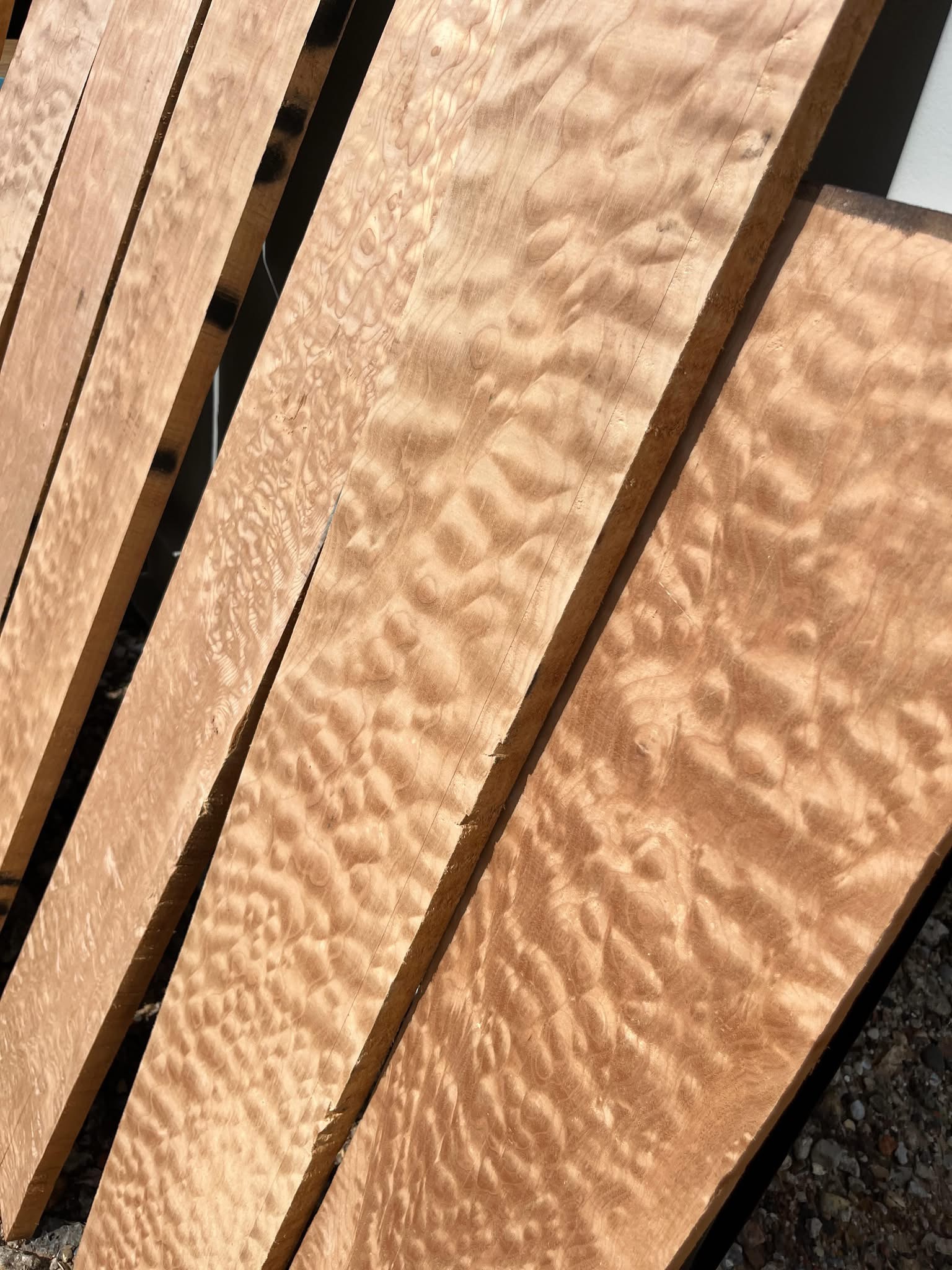 QUILTED MAPLE