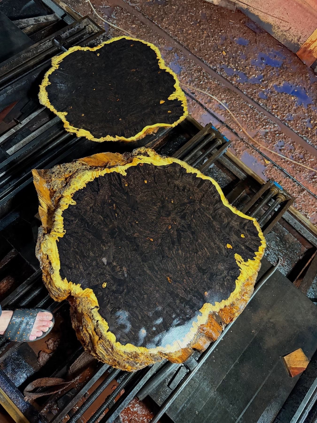 African Blackwood Burl