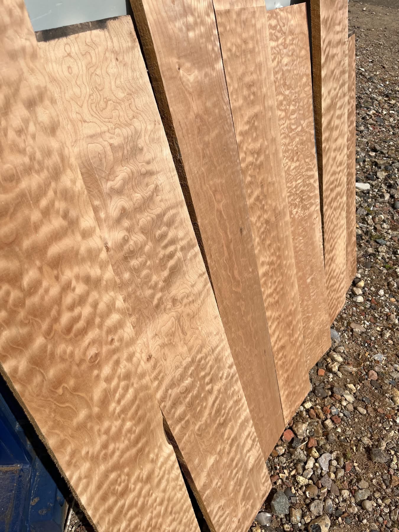 QUILTED MAPLE