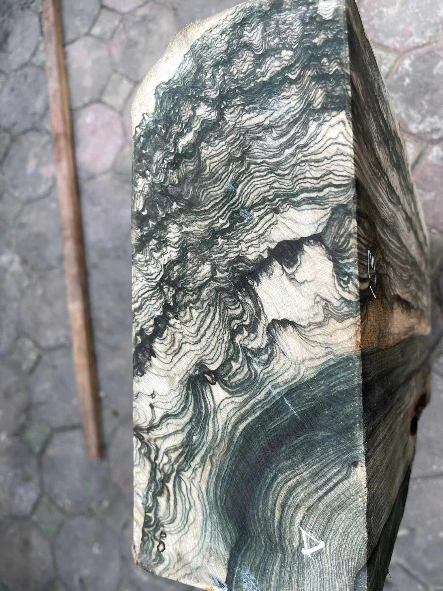 premium piece of high-quality Ebony wood 