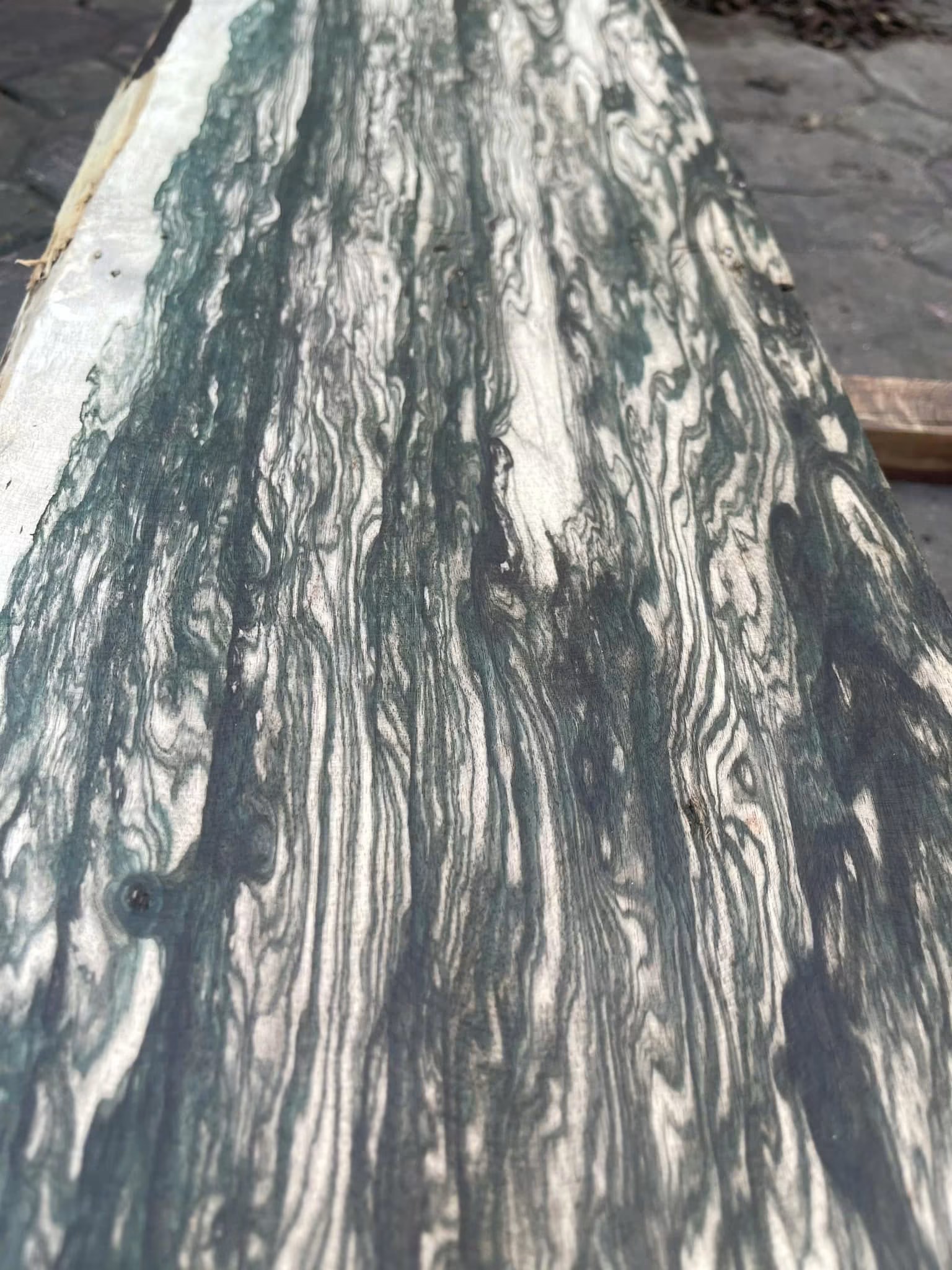 premium piece of high-quality Ebony wood 