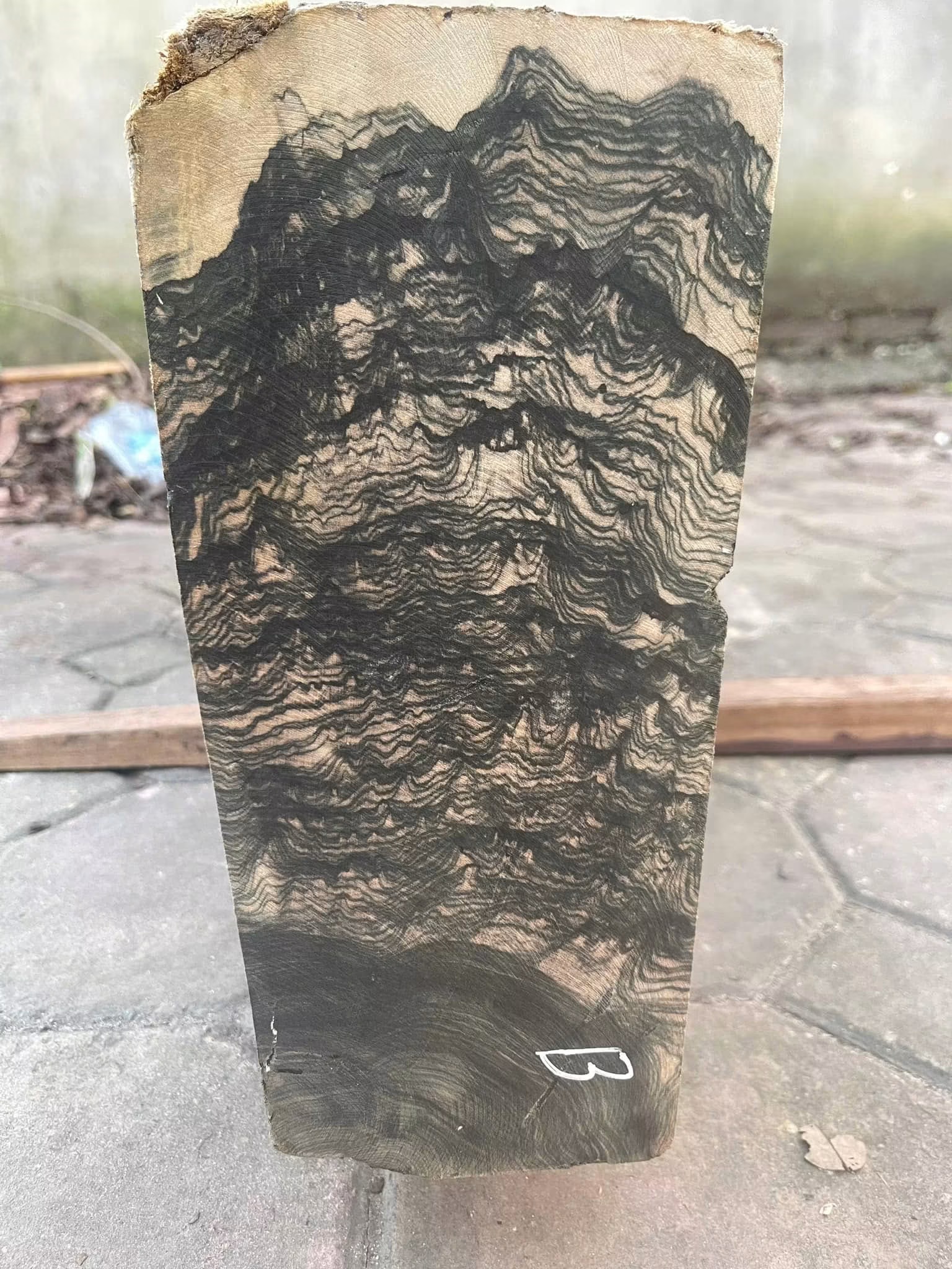 premium piece of high-quality Ebony wood 
