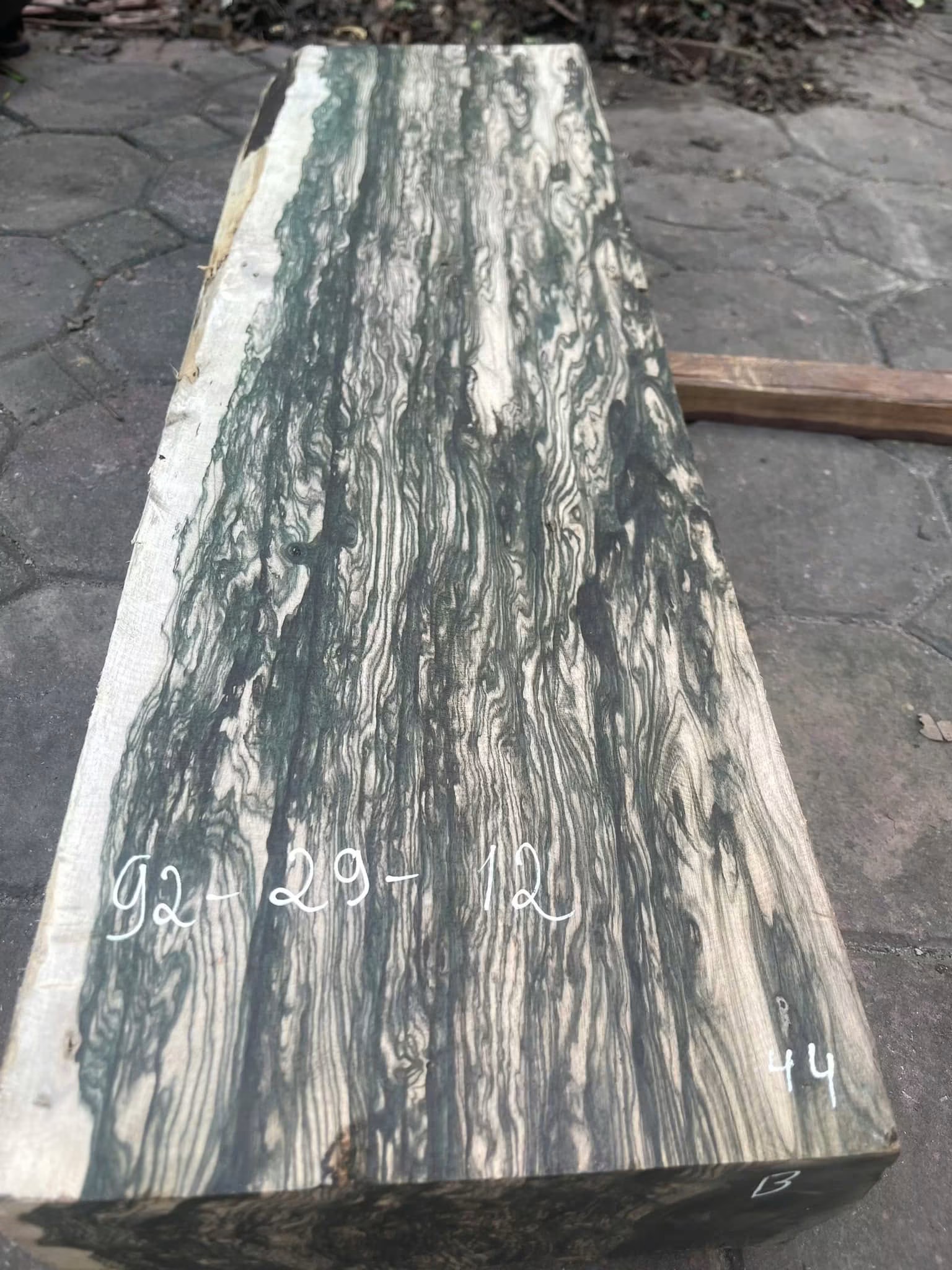 premium piece of high-quality Ebony wood 