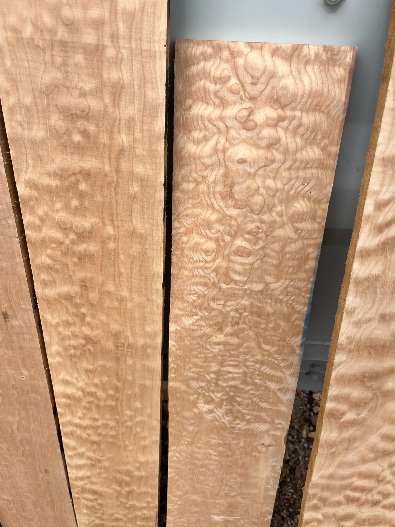 QUILTED MAPLE