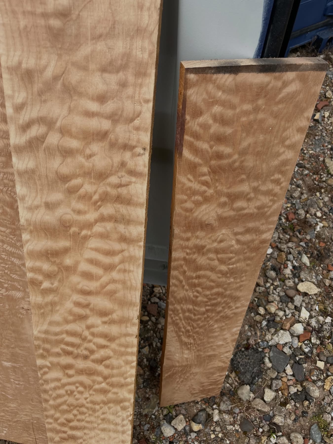 QUILTED MAPLE